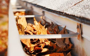 Bradford Peverell gutter cleaning companies