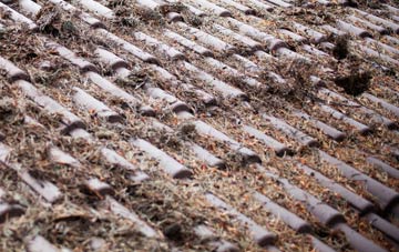 Bradford Peverell roof cleaning companies