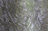 Bradford Peverell fibreglass roof work